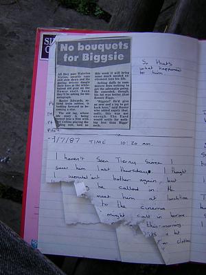 Diary page 006