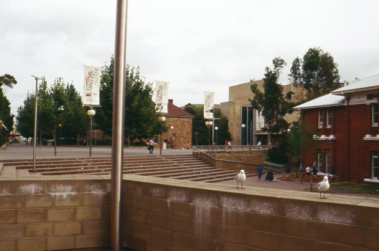 img024.jpeg.medium.jpeg