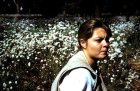 img002.jpeg.small.jpeg