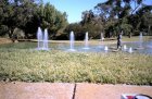 img004.jpeg.small.jpeg