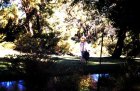 img011.jpeg.small.jpeg