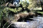 img013.jpeg.small.jpeg