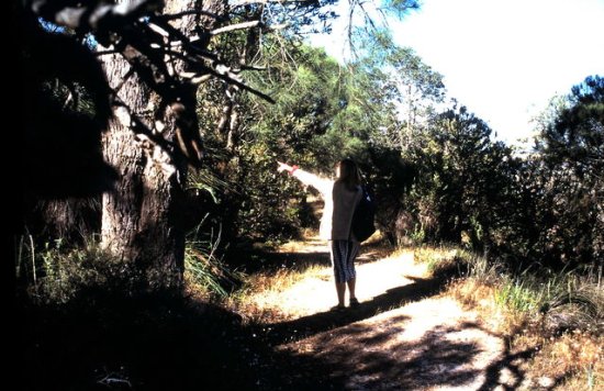 img016.jpeg.medium.jpeg