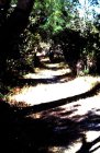 img017.jpeg.small.jpeg