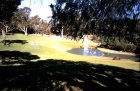 img021.jpeg.small.jpeg
