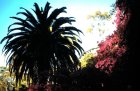 img024.jpeg.small.jpeg