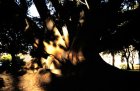 img026.jpeg.small.jpeg