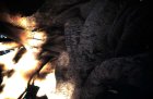 img027.jpeg.small.jpeg