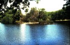 img031.jpeg.small.jpeg