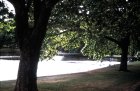 img033.jpeg.small.jpeg