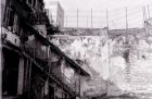 img010.jpeg.small.jpeg