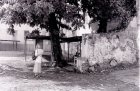img011.jpeg.small.jpeg