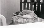 img023.jpeg.small.jpeg