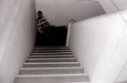 img008.jpeg.small.jpeg