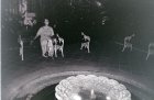 img028.jpeg.small.jpeg