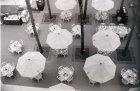 img035.jpeg.small.jpeg
