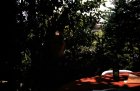 img002.jpeg.small.jpeg
