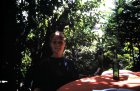 img003.jpeg.small.jpeg