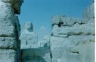 img025.jpeg.small.jpeg