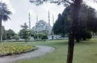 img036.jpeg.small.jpeg