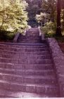 img057.jpeg.small.jpeg