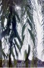 img067.jpeg.small.jpeg