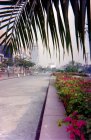 img014.jpeg.small.jpeg