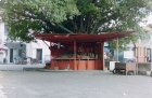 img000.jpeg.small.jpeg