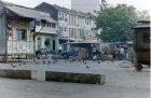 img002.jpeg.small.jpeg