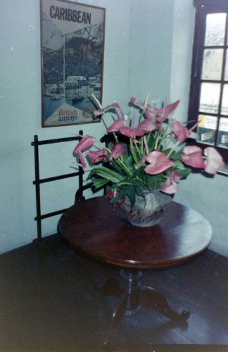 img012.jpeg.medium.jpeg