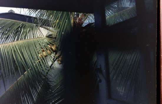 img015.jpeg.medium.jpeg