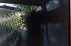 img015.jpeg.small.jpeg