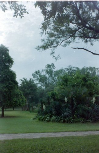 img025.jpeg.medium.jpeg