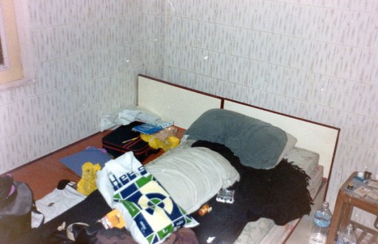 img027.jpeg.medium.jpeg