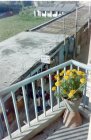 img000.jpeg.small.jpeg