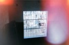 img000.jpeg.small.jpeg