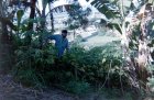 img008.jpeg.small.jpeg