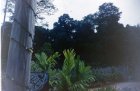 img021.jpeg.small.jpeg