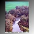 peaceful stream